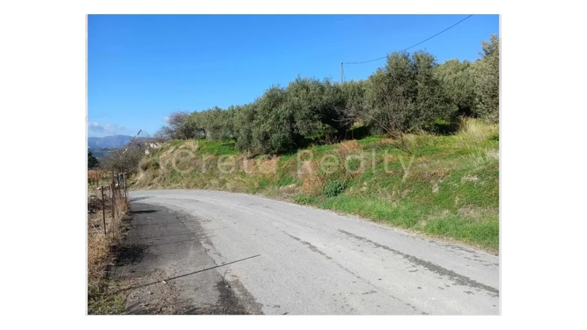 Plot 1150m²  - 3
