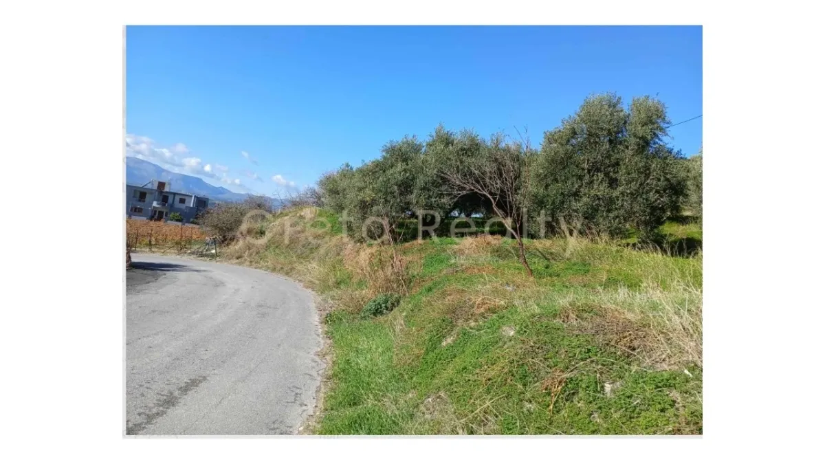 Plot 1150m²  - 4