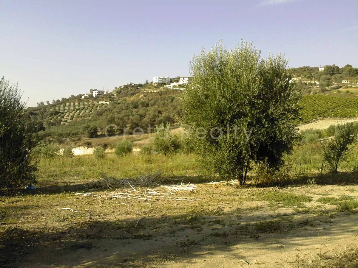 Land Parcel 10000m²  - 2