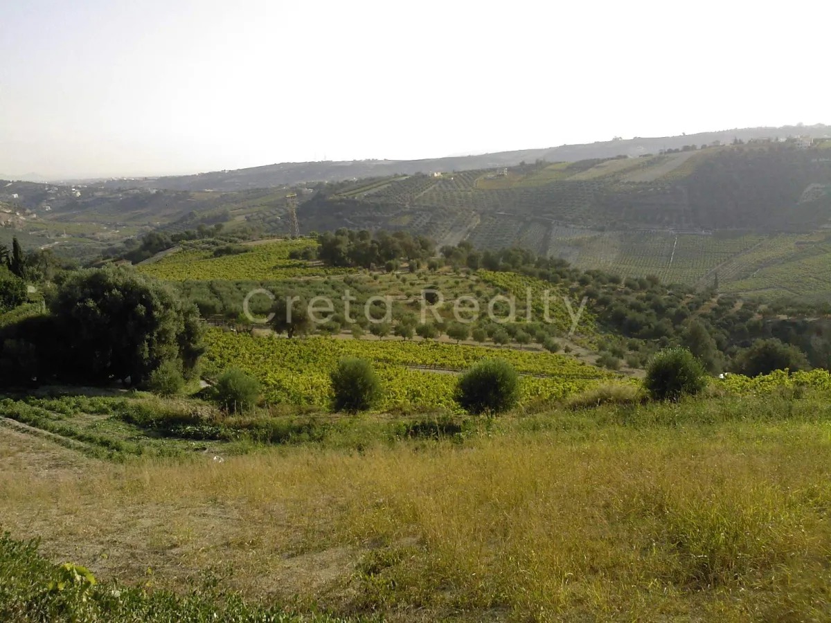Land Parcel 10000m²  - 4