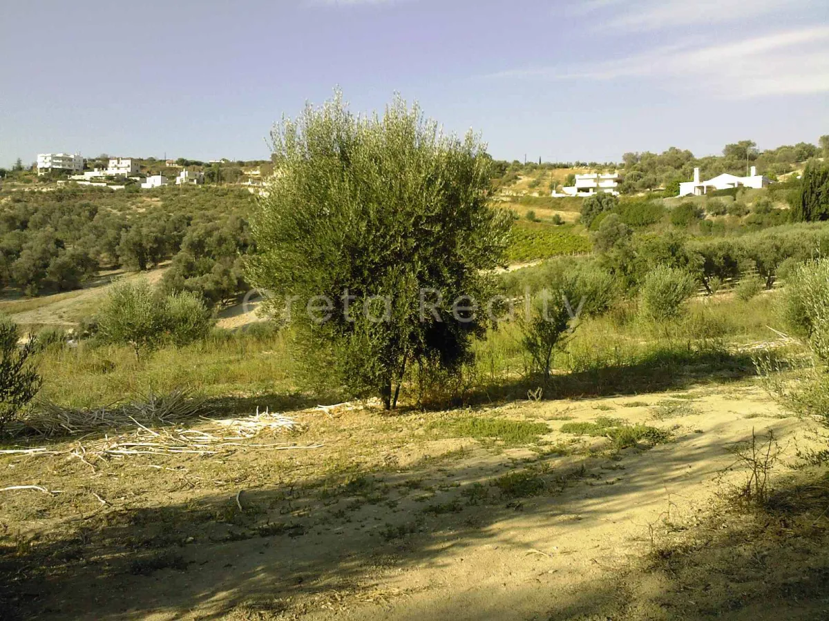 Land Parcel 10000m²  - 5