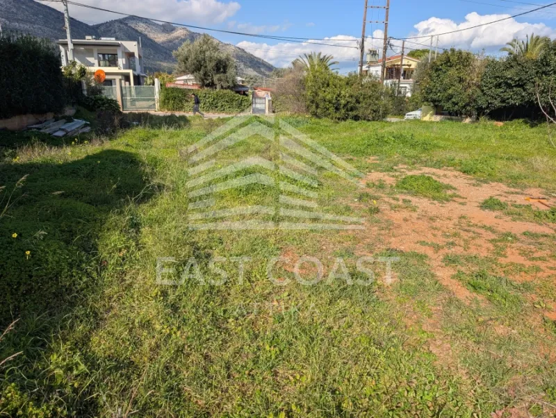 Οικόπεδο 1040τ.μ.  - 4