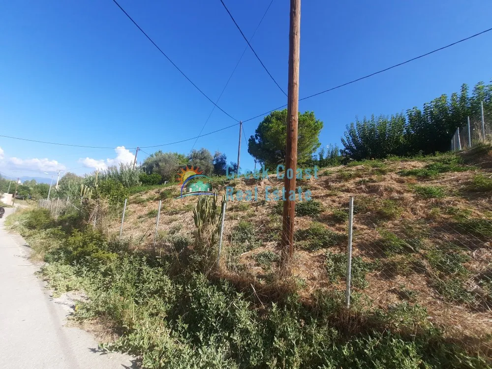 Plot 10000m²  - 2