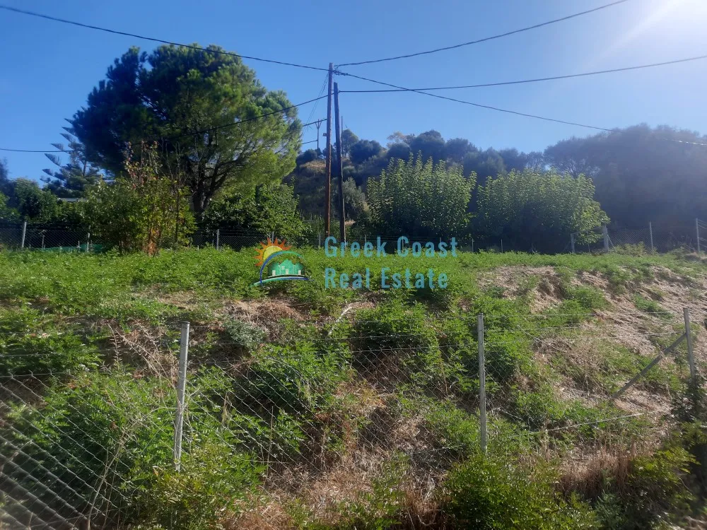 Plot 10000m²  - 3