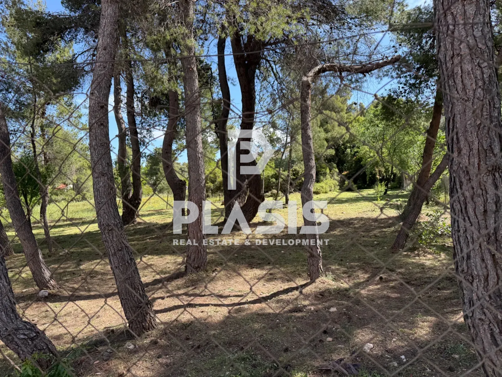 Οικόπεδο 1000τ.μ.  - 4