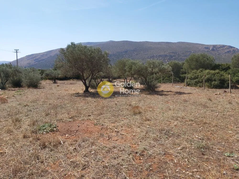Other .. 4250m²  - 4