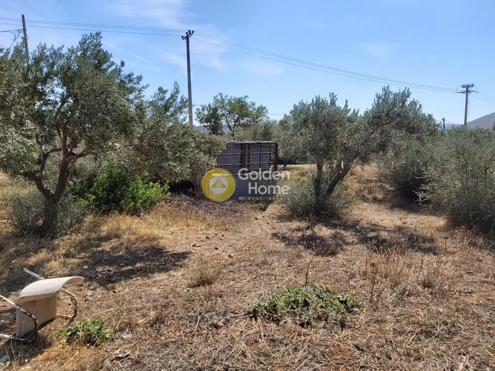 Other .. 4250m²  - 5