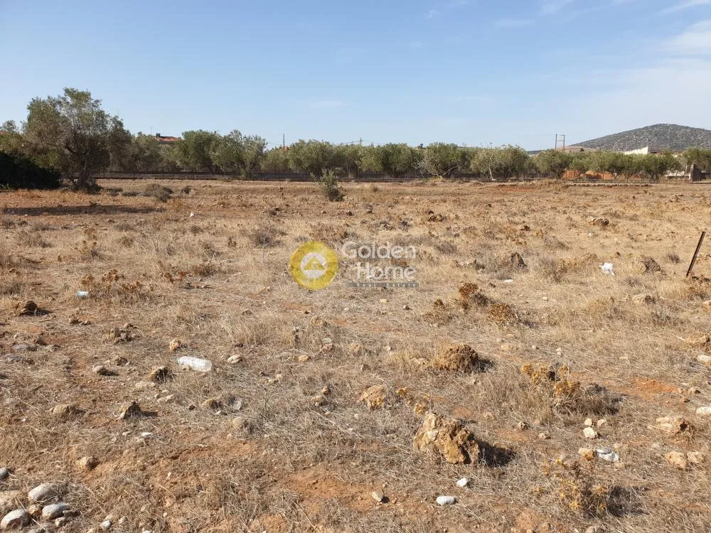 Αγροτεμάχιο 4700τ.μ.  - 2