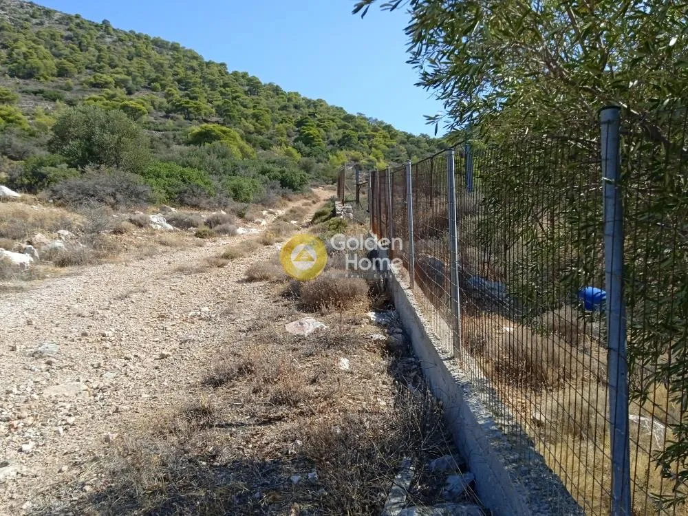 Αγροτεμάχιο 3756τ.μ.  - 2