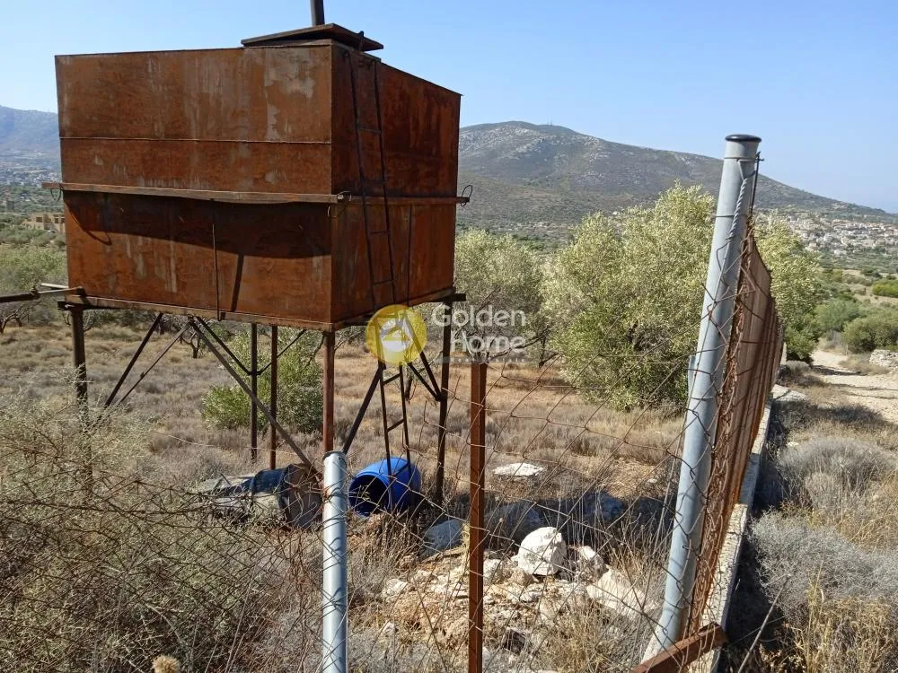 Αγροτεμάχιο 3756τ.μ.  - 3