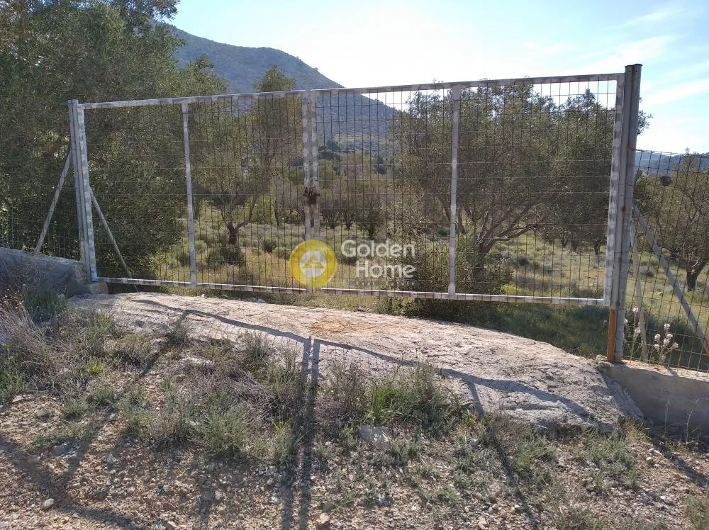 Αγροτεμάχιο 3756τ.μ.  - 4