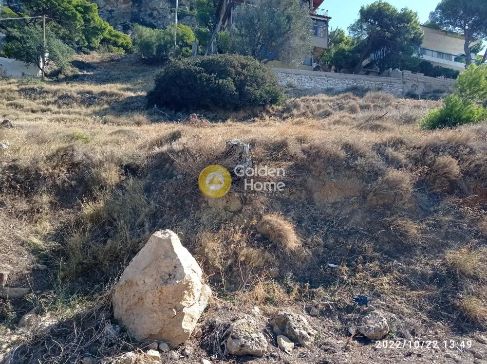 Αγροτεμάχιο 383τ.μ.  - 3
