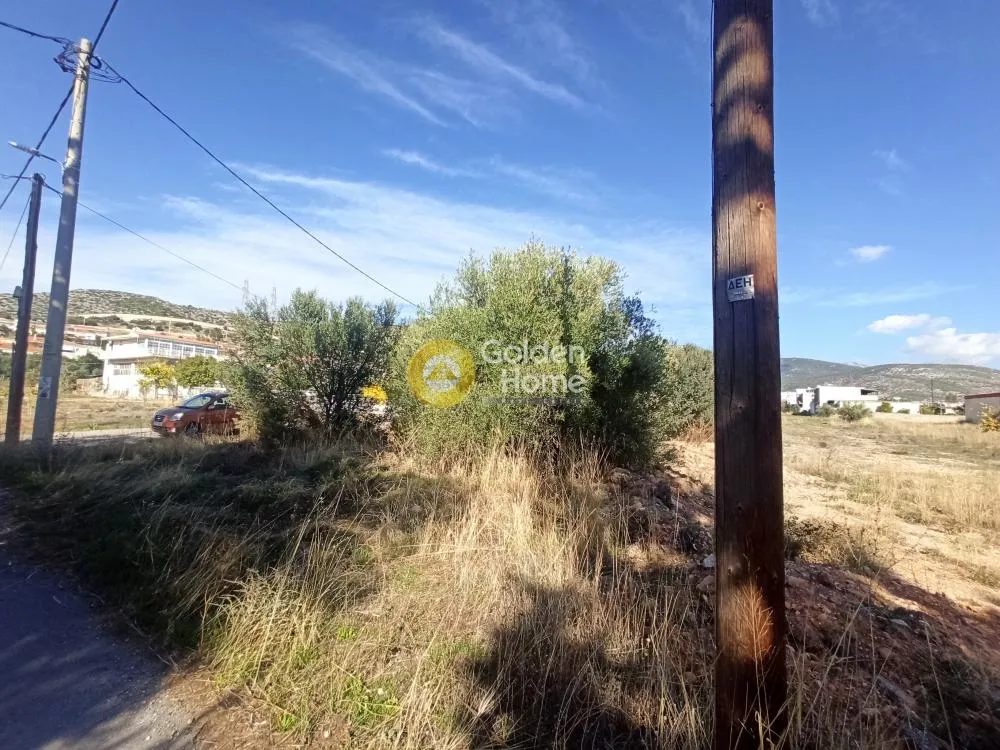 Land Parcel 185m²  - 2
