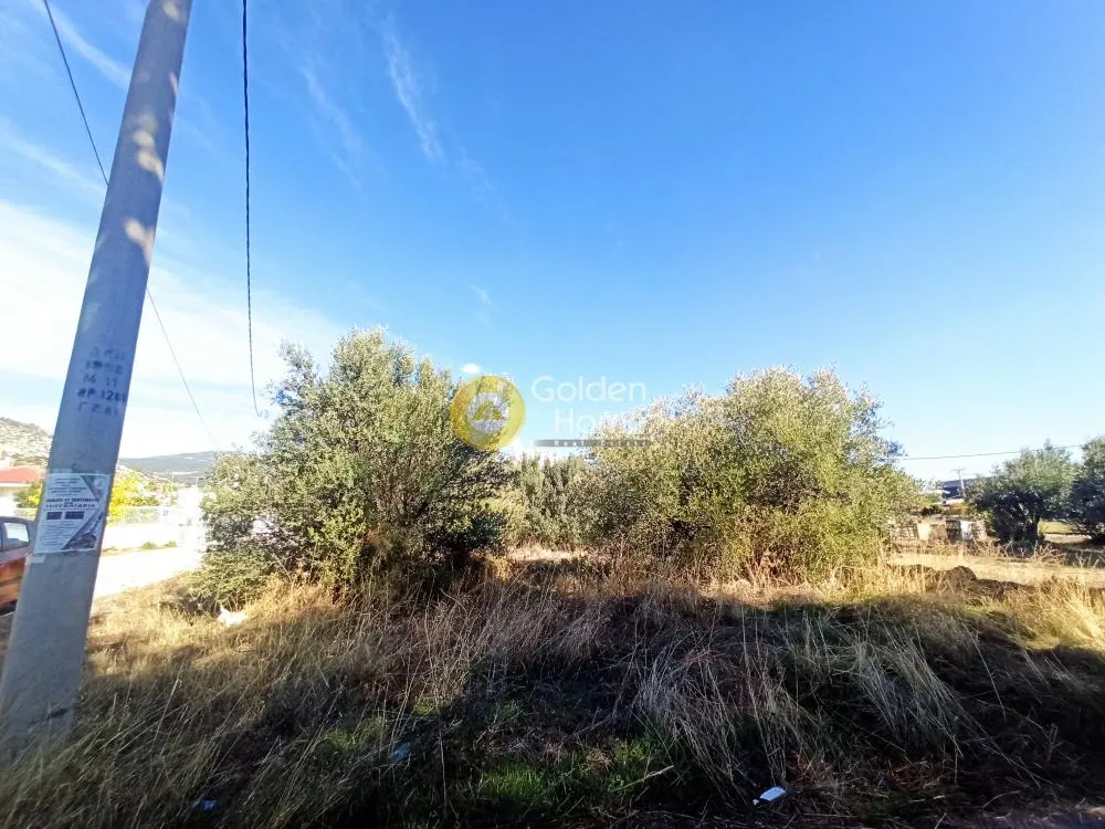 Land Parcel 185m²  - 4