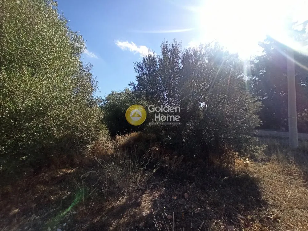 Land Parcel 185m²  - 5