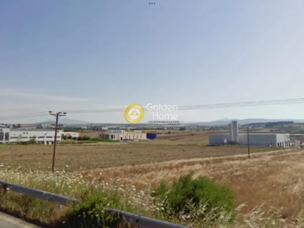 Αγροτεμάχιο 12515τ.μ.  - 2