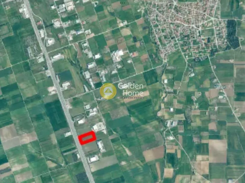 Αγροτεμάχιο 12515τ.μ.  - 3