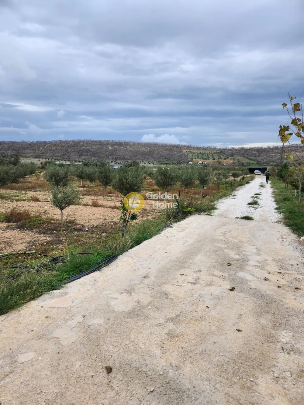 Αγροτεμάχιο 11000τ.μ.  - 3