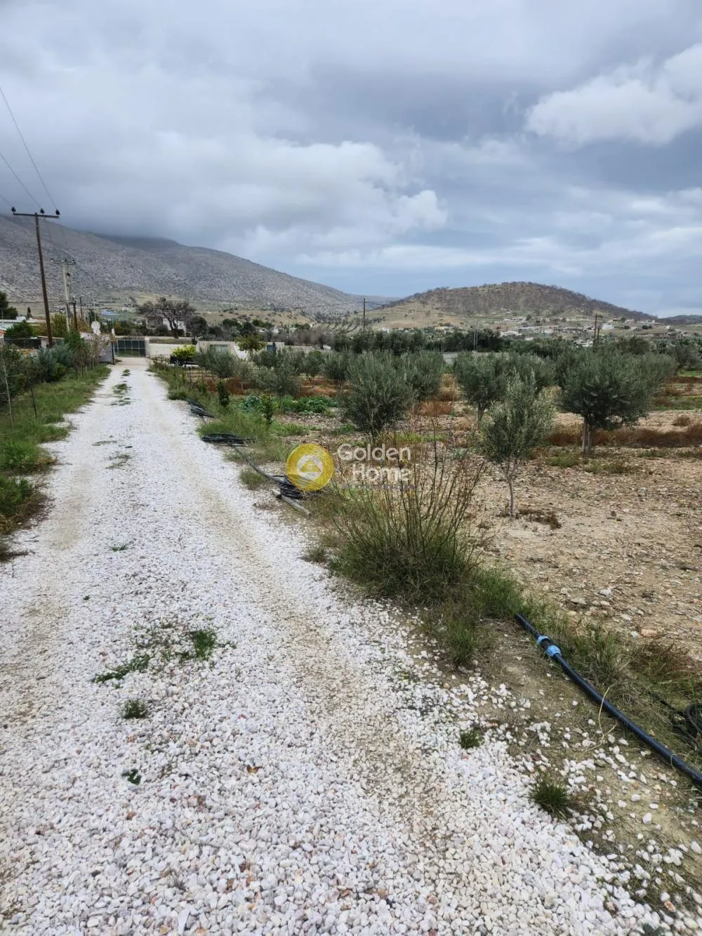 Αγροτεμάχιο 11000τ.μ.  - 5