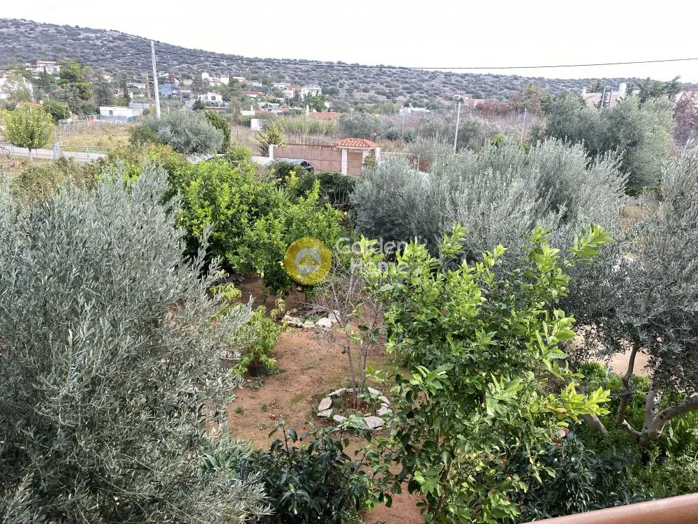 Μονοκατοικία 460τ.μ.  - 3
