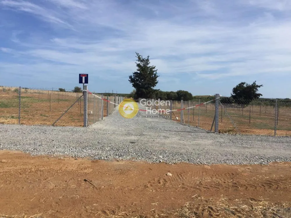 Land Parcel 3600m²  - 5