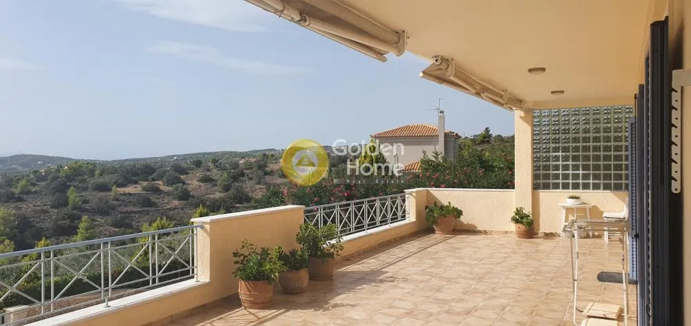 Detached house 220m²  - 2