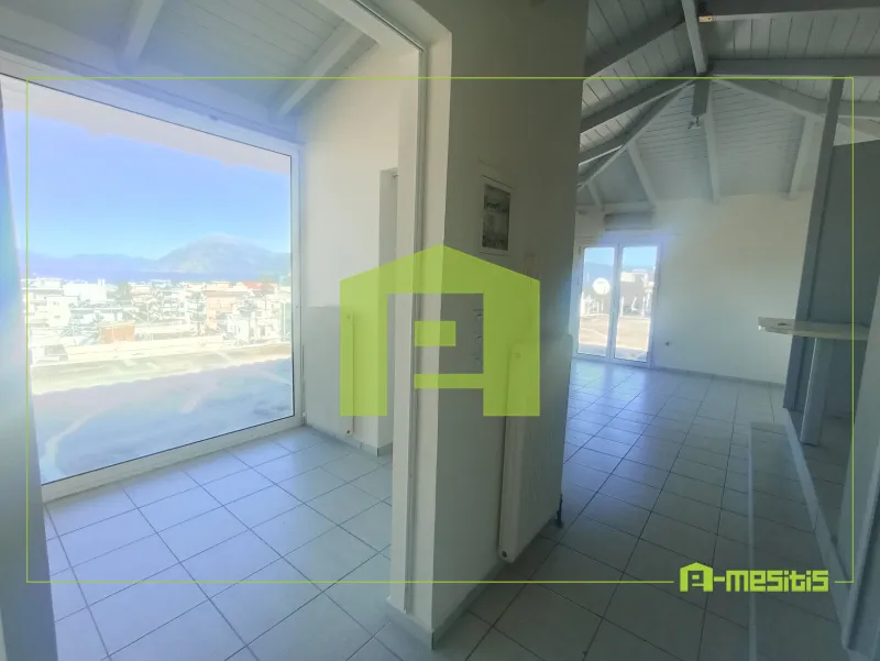 Studio 43m²  - 2