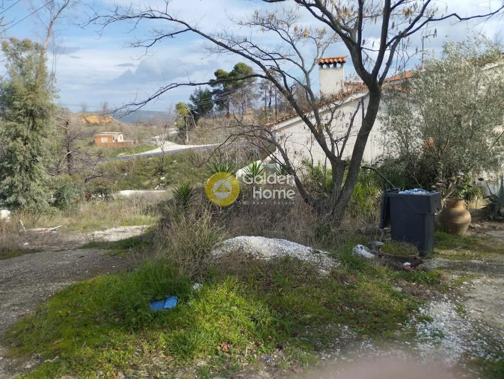 Μονοκατοικία 400τ.μ.  - 3