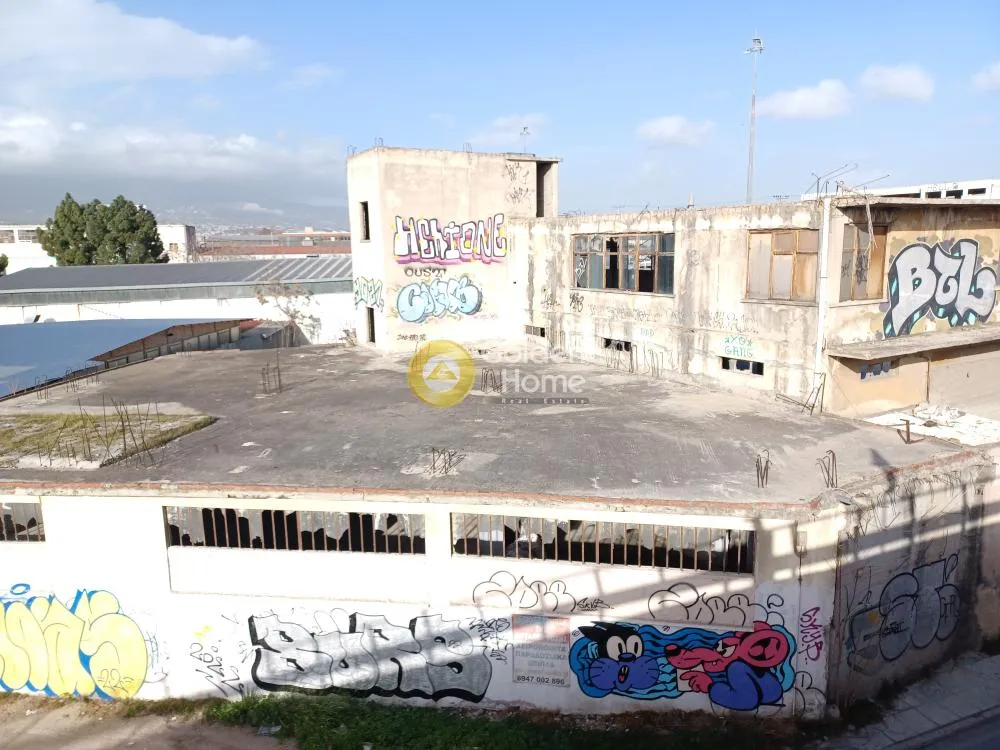 Other .. 1550m²  - 3