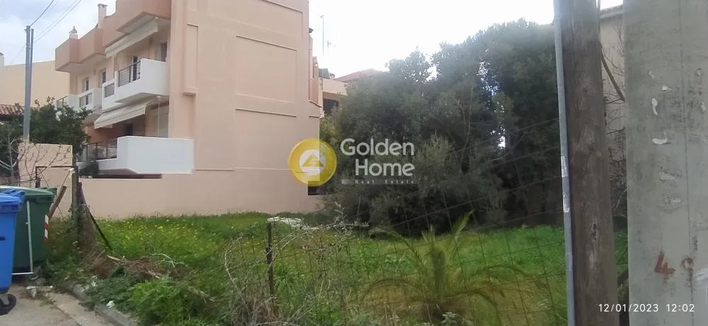 Other .. 215m²  - 2