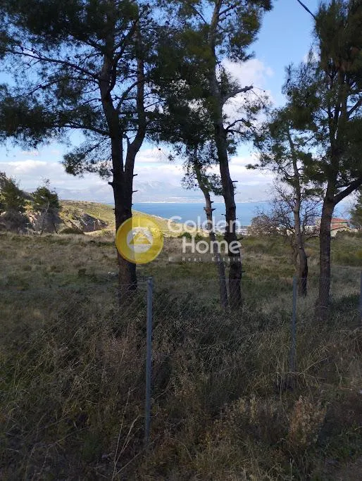 Αγροτεμάχιο 8473τ.μ.  - 4