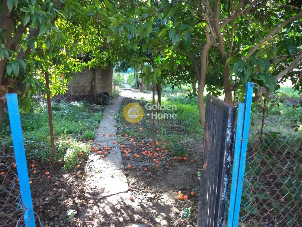 Detached house 75m²  - 2