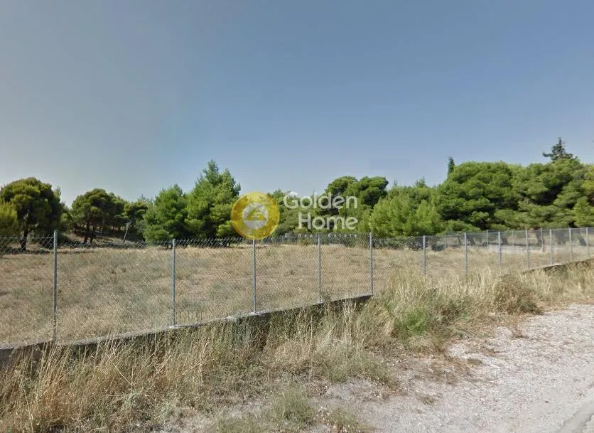 Land Parcel 3643m²  - 2