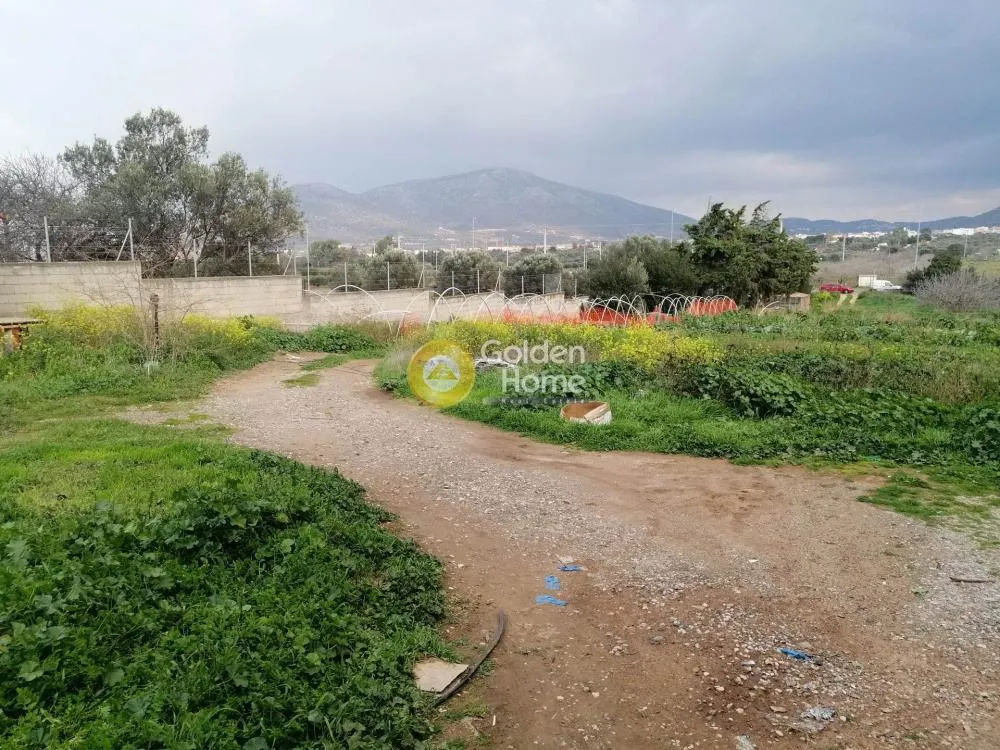 Other .. 5600m²  - 2