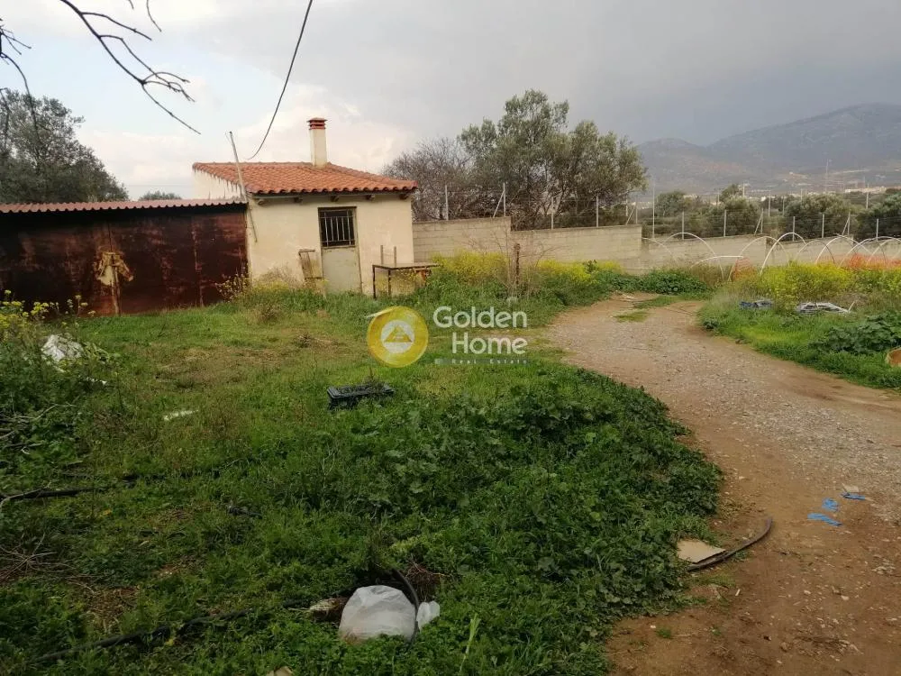 Other .. 5600m²  - 3