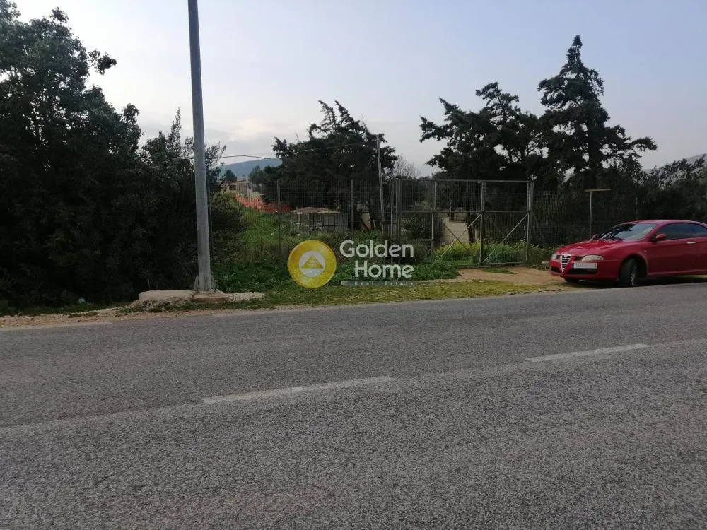 Other .. 5600m²  - 4