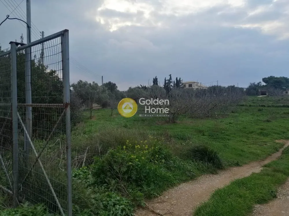 Other .. 5600m²  - 5