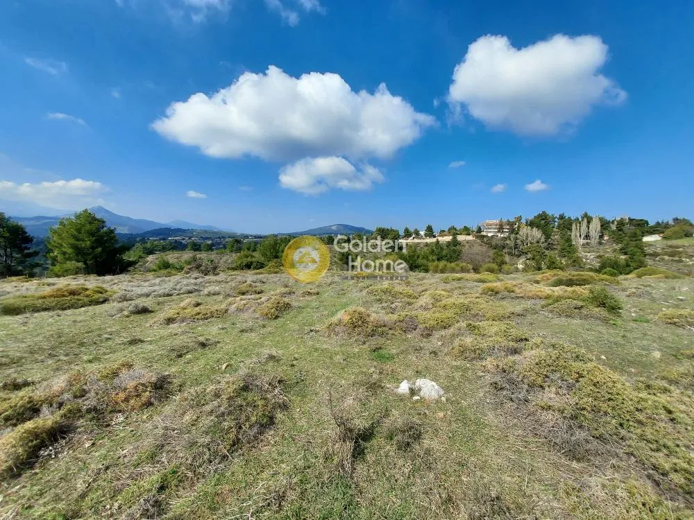 Αγροτεμάχιο 10575τ.μ.  - 3