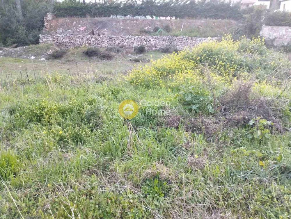 Αγροτεμάχιο 2032τ.μ.  - 2