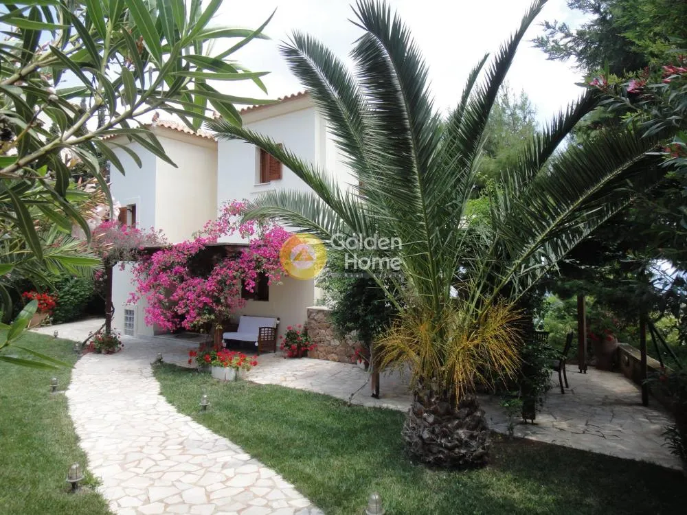 Detached house 280m²  - 2