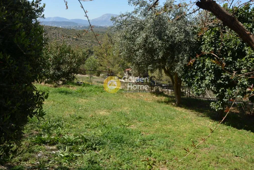 Apartment 60m²  - 3