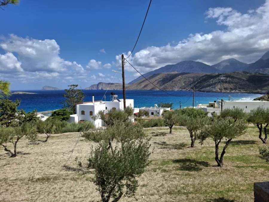 Detached house 500m²  - 4