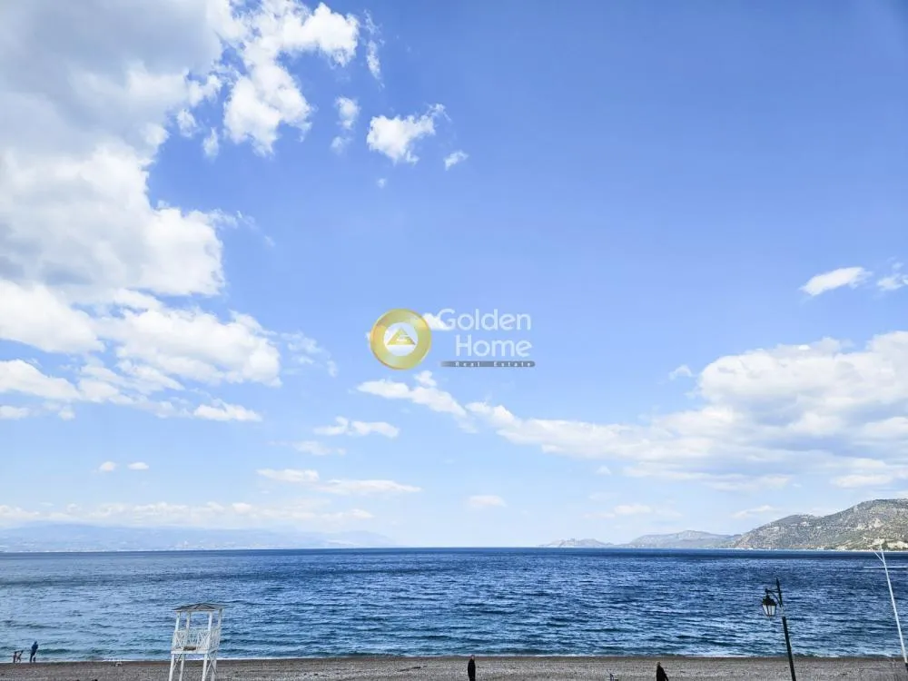 Κατάστημα 300τ.μ.  - 2
