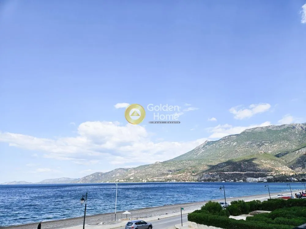 Κατάστημα 300τ.μ.  - 5