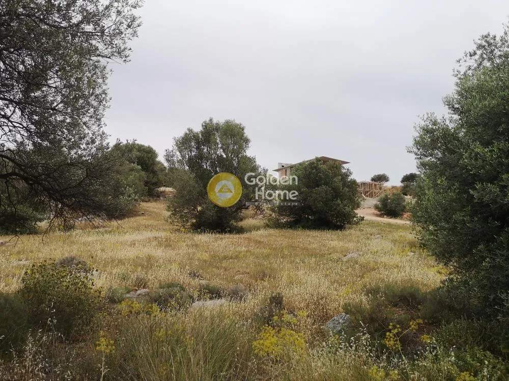 Land Parcel 6620m²  - 3