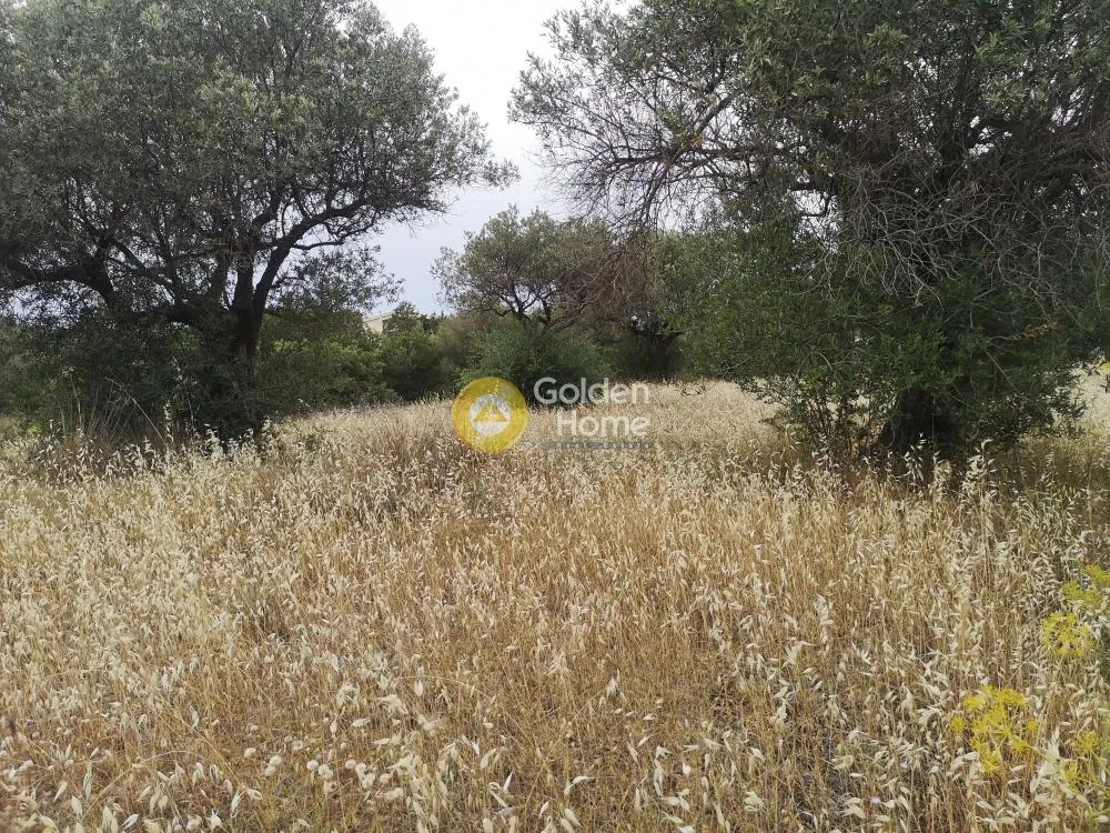 Land Parcel 6620m²  - 5
