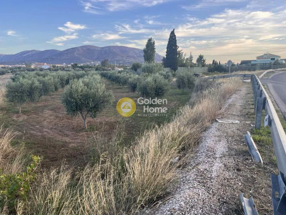Other .. 6500m²  - 2