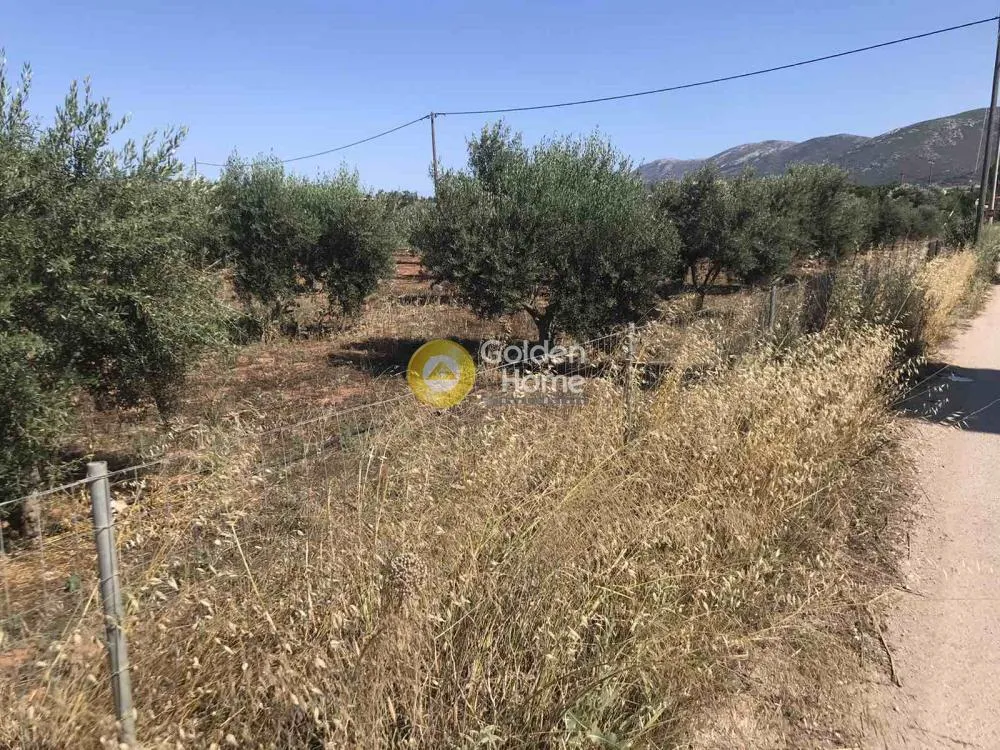 Other .. 6500m²  - 3