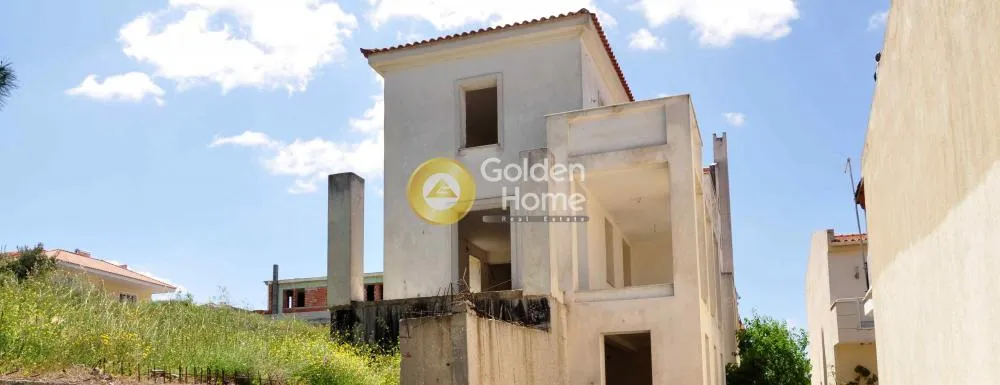 Detached house 540m²  - 5