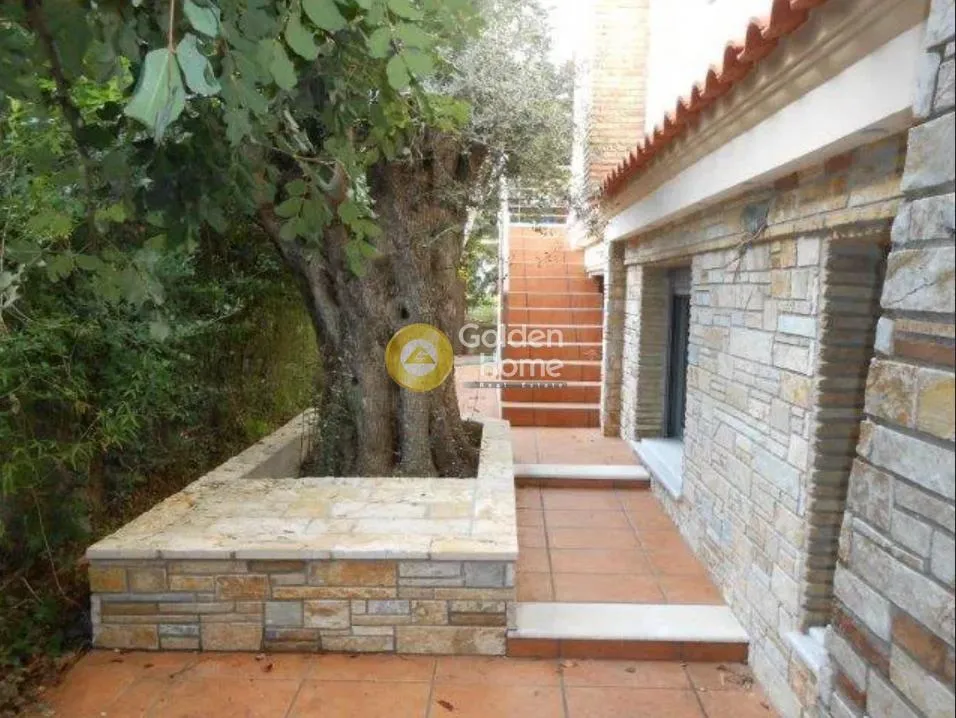 Detached house 295m²  - 2
